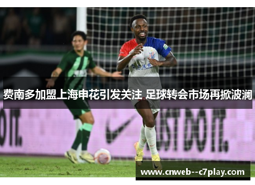 费南多加盟上海申花引发关注 足球转会市场再掀波澜