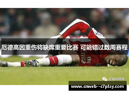 厄德高因重伤将缺席重要比赛 可能错过数周赛程