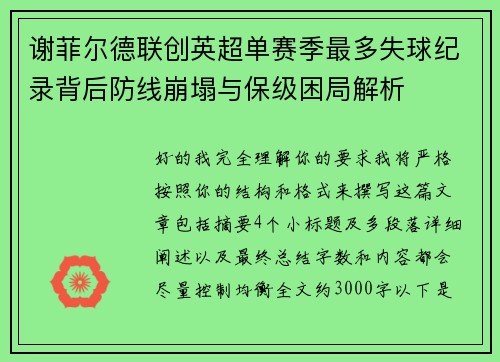 谢菲尔德联创英超单赛季最多失球纪录背后防线崩塌与保级困局解析